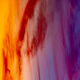 Illustration for article titled Comet NEOWISE, Take Two
